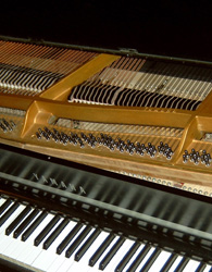 Modartt Pianoteq CP-80 add-on