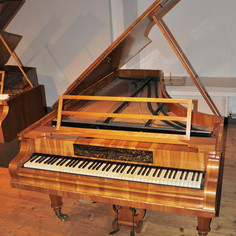 J.B. Streicher grand piano (1852)